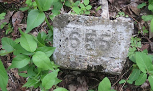 Woodville Cemetery Marker, Popular Pittsburgh