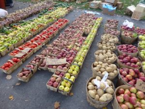 Farmers Markets of Pittsburgh - Positively Pittsburgh