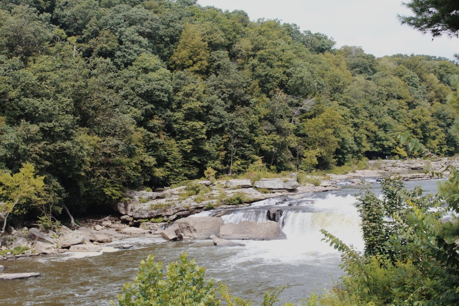 9 Reasons to Travel to Ohiopyle Positively Pittsburgh