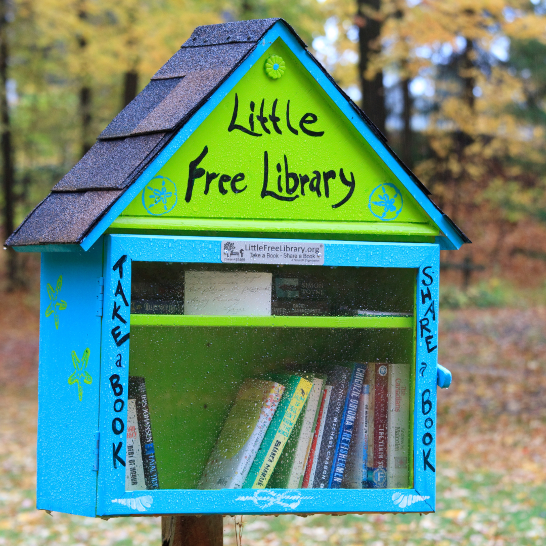 Photo of a bright blue and green Little Free Library.